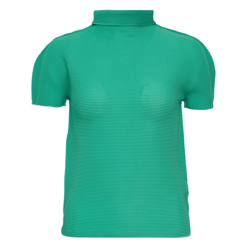 Stretch Pleats 5 High Neck Top