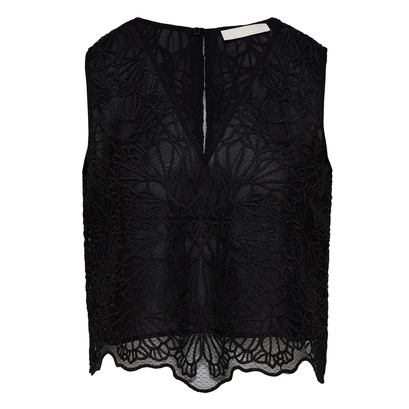 Embroideried Lace Cropped Top