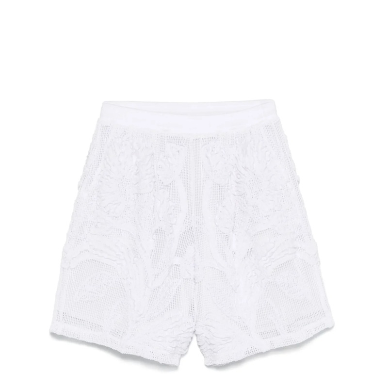 Mesh Ruching Shorts