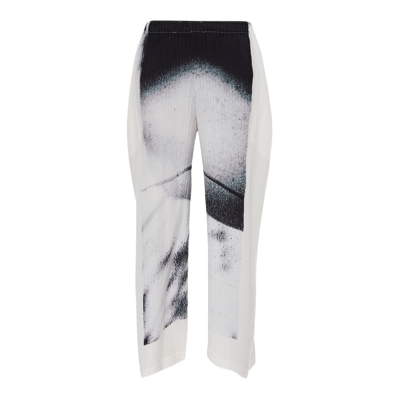 Shadow Study Pleats Pants
