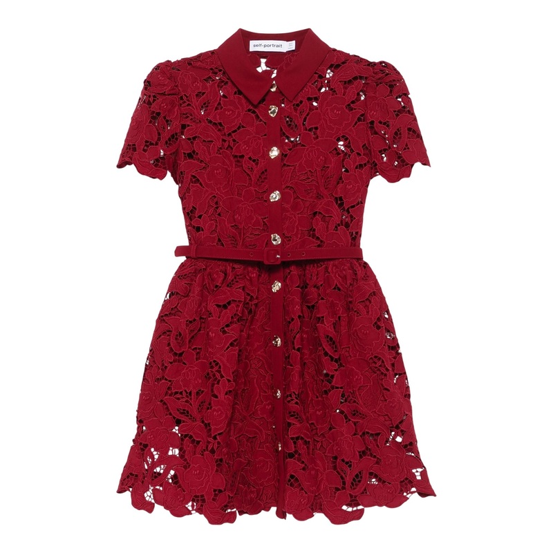 Burgundy Lace Collared Mini Dress