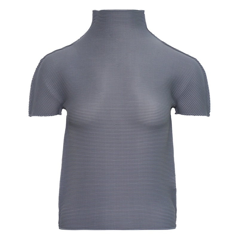 Stretch Pleats 2 Top