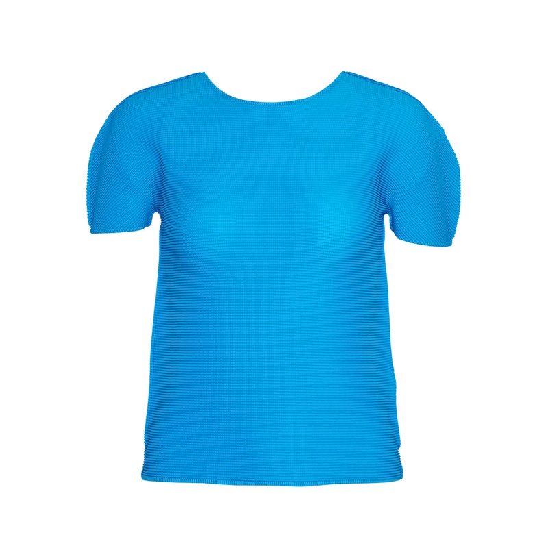 Stretch Pleats 1 Top