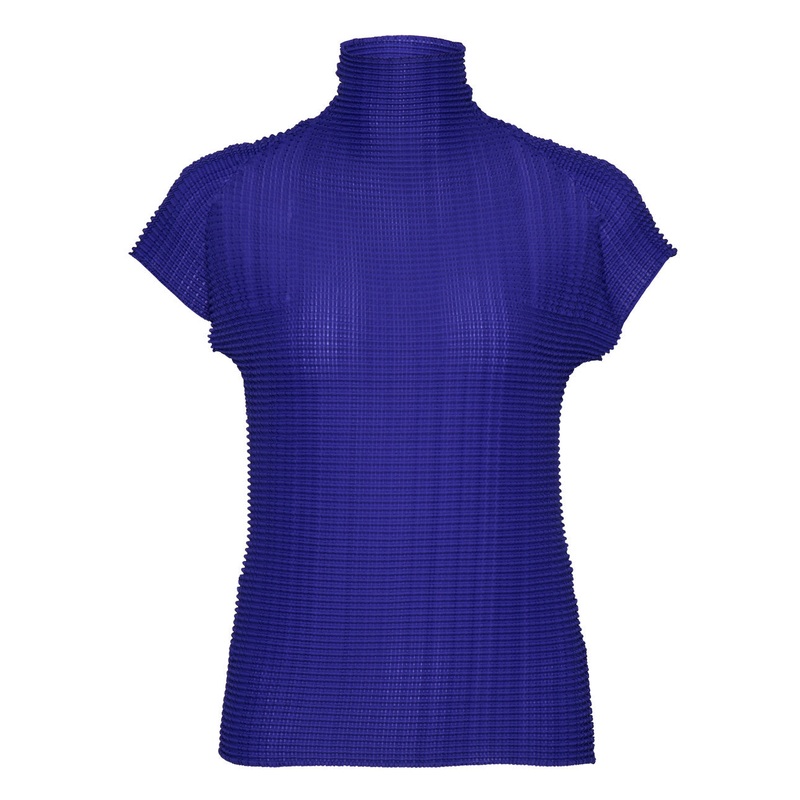 Wooly Pleats-48 Pleated Top