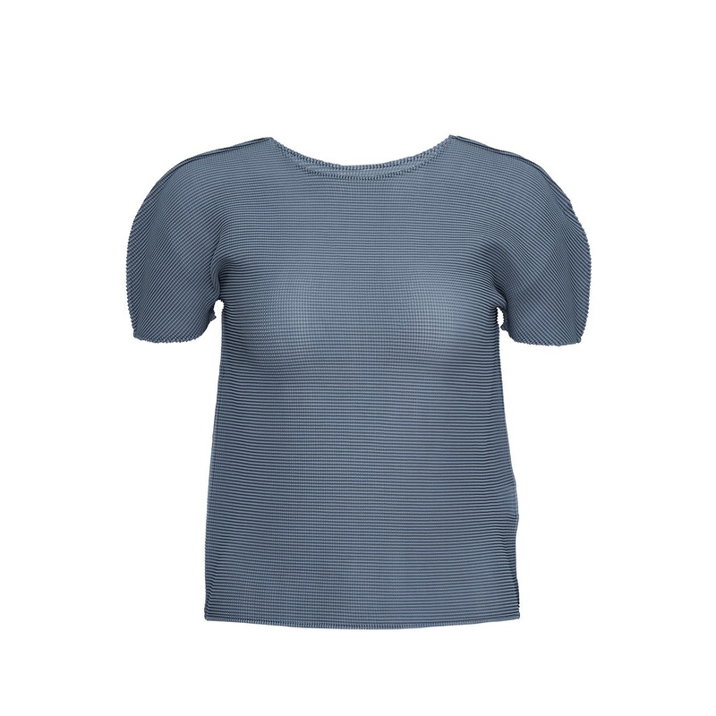 Stretch Pleats 3 Round Neck Top