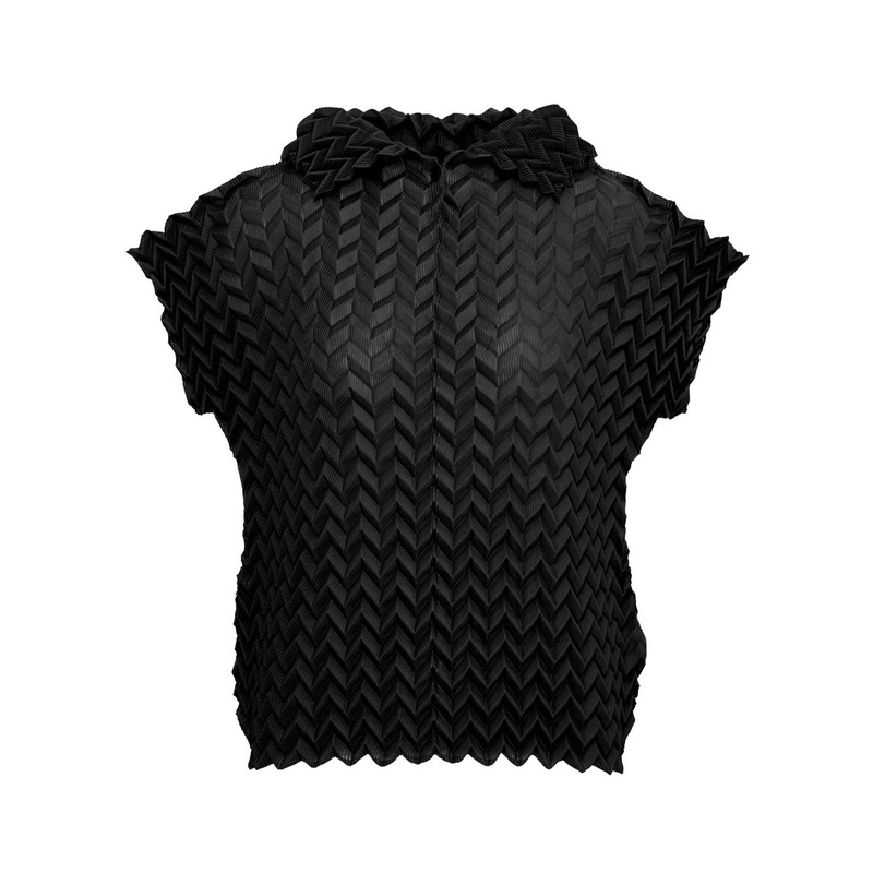 Zig Zag Pleats Top