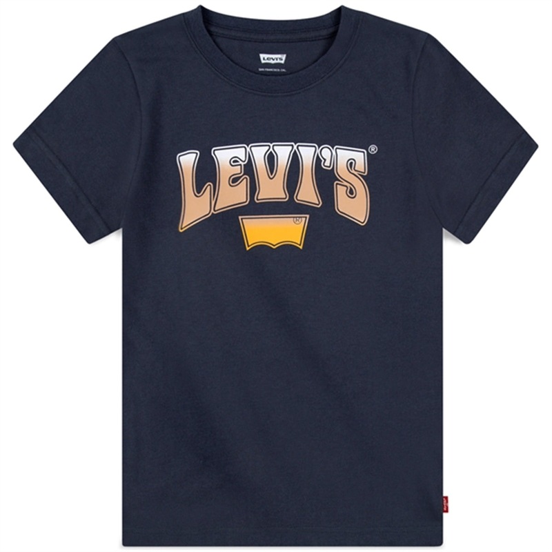 Levi’s Rock Out T-shirt Grey