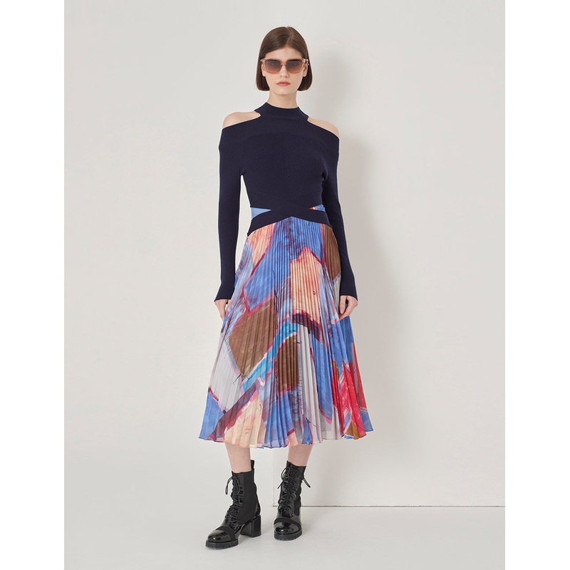 Chiffon Print Pleated Dress